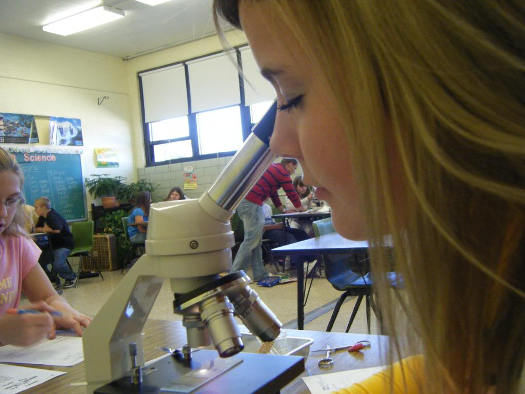 Student Microscopes