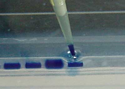 Gel-Electrophoresis Equipment