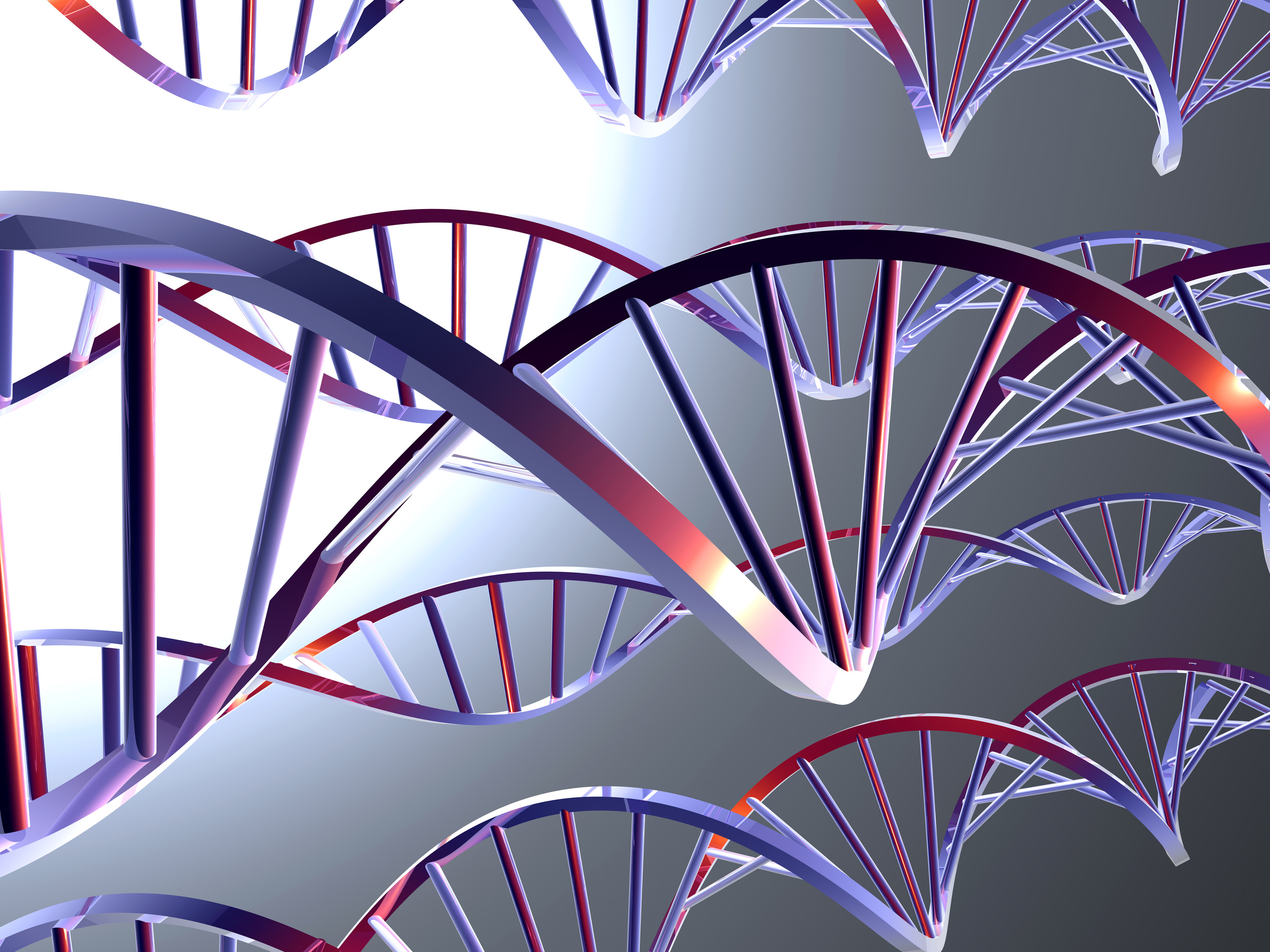Molecular Biology Reagents