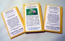 Asclepias curassavica, Tropical Milkweed,  Packet of 150 seeds. (AC150)