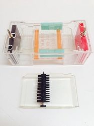 Submarinar Gel Box  with Gel Casting Kit (SM100)