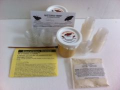 Painted Lady Butterfly Farm  Classroom  Kit  Culture Certificate (35 Larvae),  PC33