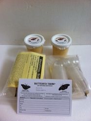 Painted Lady Butterfly Certificate, 60-70 larvae, food, & 60 cups, PC700