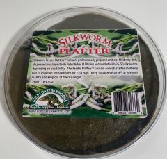 Silkworm  Reptile Feeder Platter, SWP2550