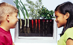 Root-Vue Farm Underground Garden Laboratory - RV100