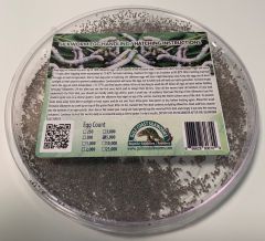 Silkworm Eggs, Normal, Bulk 250-25000,  Select Quantity,  SWE250-25K