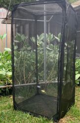 Giant Butterfly Cage, Pop-UP, 23-in x 23-in x 46-inch,  BC102